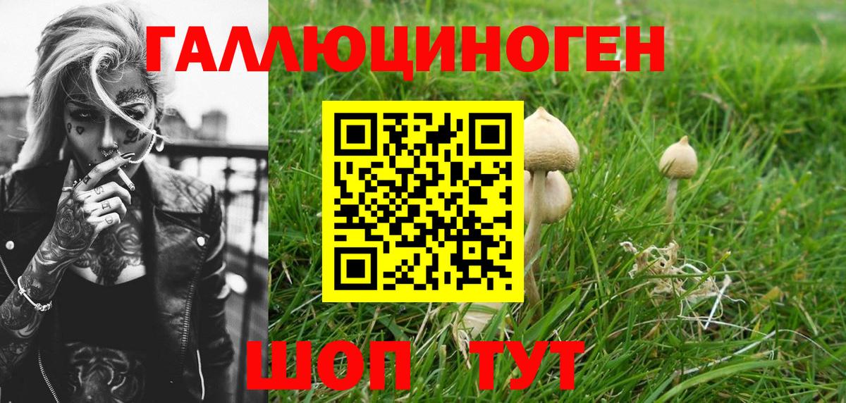 Псилоцибиновые грибы прущие грибы Тулун
