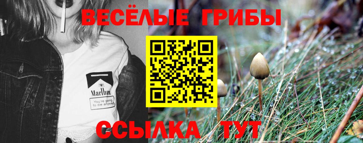 Галлюциногенные грибы MAGIC MUSHROOMS  Вход с VPN  Тулун 