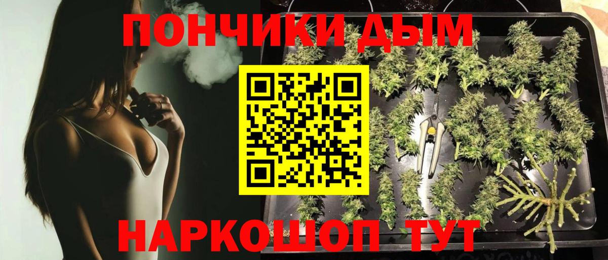 Тулун  Конопля марихуана  Вход с VPN  Бошки Шишки план  Бошки Шишки гибрид 